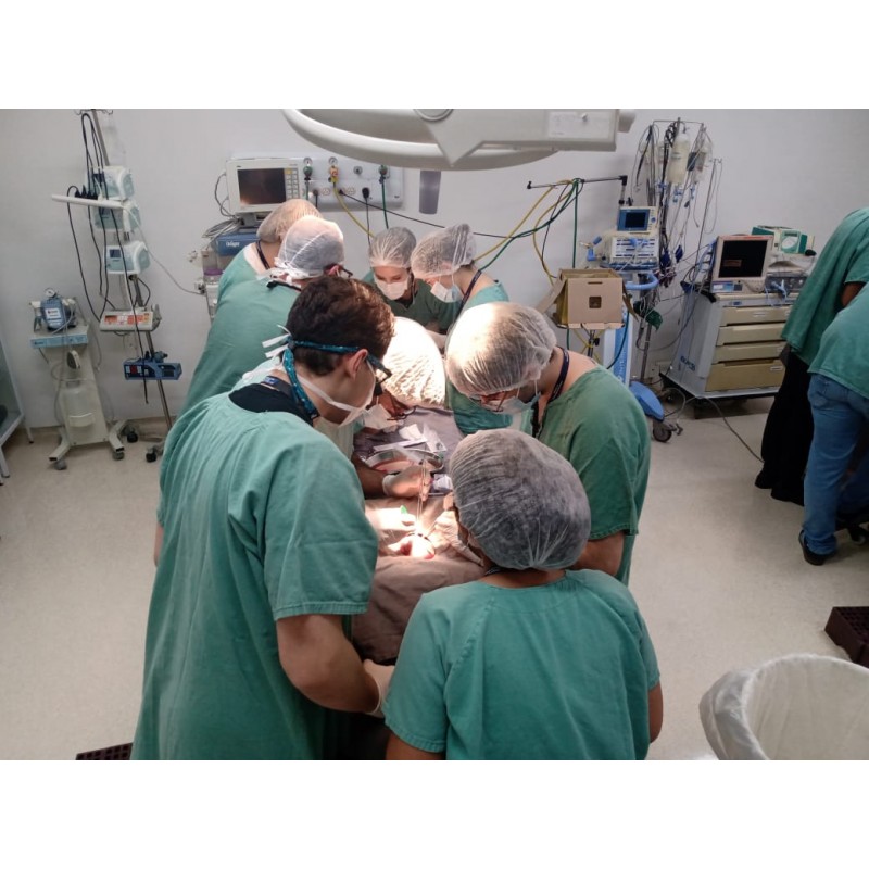 Cirurgia Experimental para alunos de Medicina  - 30 de Julho